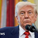 Trump says he will call Putin to discuss stopping Ukraine war